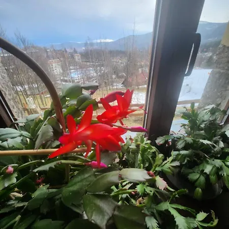 Alojamento de Acomodação e Pequeno-almoço Wichrowe Wzgórza